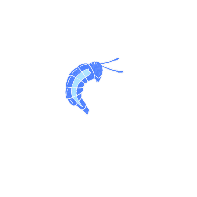 plankton_1