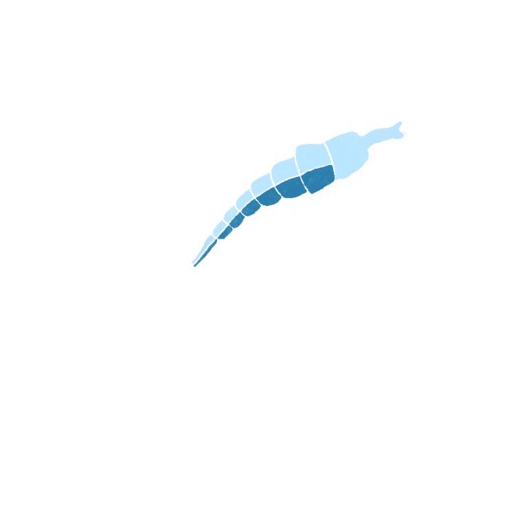 lichtblauwe plankton